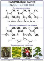Комплект демонстрационных таблиц по химии "Полимеры" (комплект 12 таблиц) - fgospostavki.ru - Новоалтайск