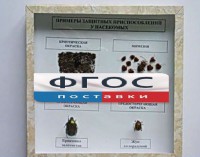 Коллекция энтомологическая "Примеры защитных приспособлений у насекомых" - fgospostavki.ru - Новоалтайск