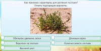 Интерактивные курсы. Окружающий мир 3 класс . Базовый. - fgospostavki.ru - Новоалтайск