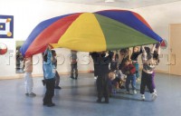 Парашют (вариант 2) - fgospostavki.ru - Новоалтайск