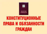 Комплект плакатов "Конституционные права и обязанности граждан" - fgospostavki.ru - Новоалтайск