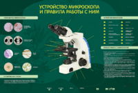 Электрифицированный стенд "Устройство микроскопа и правила работы c ним" - fgospostavki.ru - Новоалтайск