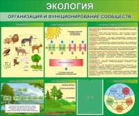Стенд "Экология. Организация и функционирование сообществ" - fgospostavki.ru - Новоалтайск