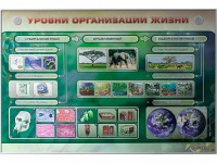 Электрифицированный стенд "Уровни организации жизни" - fgospostavki.ru - Новоалтайск