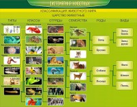 Стенд "Систематика животных" - fgospostavki.ru - Новоалтайск