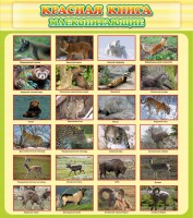 Стенд "Красная книга - млекопитающие" - fgospostavki.ru - Новоалтайск