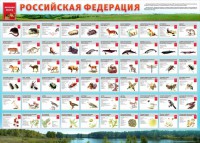 Стенд "Красная книга РФ" - fgospostavki.ru - Новоалтайск
