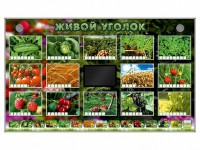 Комплект оборудования "Живой уголок" (растения) - fgospostavki.ru - Новоалтайск