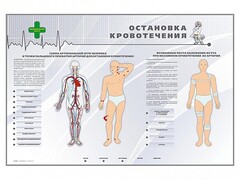 Электрифицированный стенд "Остановка кровотечения" - fgospostavki.ru - Новоалтайск