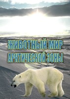DVD "Животный мир Арктической зоны" - fgospostavki.ru - Новоалтайск
