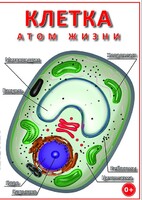 DVD "Клетка - "атом жизни" - fgospostavki.ru - Новоалтайск