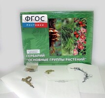 Гербарий "Основные группы растений" (52 листа) - fgospostavki.ru - Новоалтайск