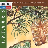Ботаника. Микрофотографии. (Цифровая база изображений) - fgospostavki.ru - Новоалтайск
