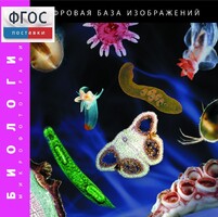 Биология. Микрофотографии. (Цифровая база изображений) - fgospostavki.ru - Новоалтайск