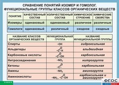 Таблица. Сравнение понятий изомер и гомолог. Функциональные группы классов органических веществ. - fgospostavki.ru - Новоалтайск