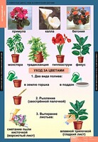 Комплект таблиц. Окружающий мир 1 класс. - fgospostavki.ru - Новоалтайск