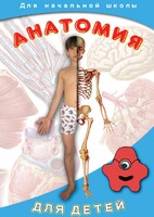 DVD "Анатомия для детей" - fgospostavki.ru - Новоалтайск