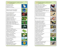 Комплект карточек (10) "Обучающий калейдоскоп. Природа" - fgospostavki.ru - Новоалтайск