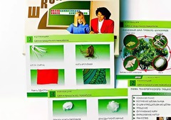 Коллекция "Шелк и продукты его переработки" (средняя школа) - fgospostavki.ru - Новоалтайск