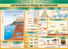 Таблица "Организмы и среды их обитания" (100х140 сантиметров, винил) - fgospostavki.ru - Новоалтайск
