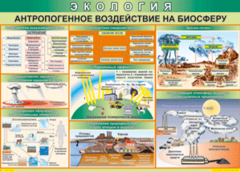 Таблица "Антропогенное воздействие на биосферу" (100х140 сантиметров, винил) - fgospostavki.ru - Новоалтайск