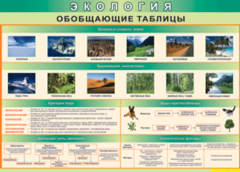 Таблица "Экология. Обобщающие таблицы" (100х140 сантиметров, винил) - fgospostavki.ru - Новоалтайск