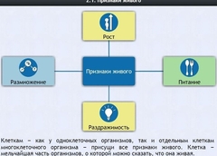 Интерактивные курсы. Биология 5 класс. Базовый - fgospostavki.ru - Новоалтайск