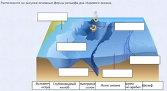 Интерактивные курсы. География 7 класс . Базовый. - fgospostavki.ru - Новоалтайск