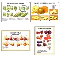 Плакаты ПРОФТЕХ "Ассортимент овощных культур" (12 пл, винил, 70х100) - fgospostavki.ru - Новоалтайск