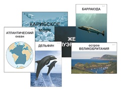 Модель-аппликация "Океаны. Знакомство" (ламинированная) - fgospostavki.ru - Новоалтайск