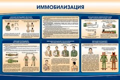 Стенд "Иммобилизация" - fgospostavki.ru - Новоалтайск