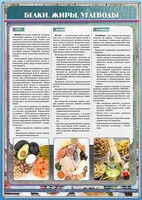 Стенд "Белки. Жиры. Углеводы" - fgospostavki.ru - Новоалтайск