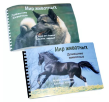 Пособие для слабовидящих - Домашние животные - fgospostavki.ru - Новоалтайск