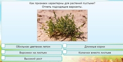 Интерактивные курсы. Окружающий мир 3 класс . Базовый. - fgospostavki.ru - Новоалтайск