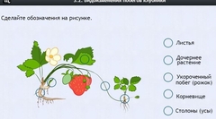 Интерактивные курсы. Биология 7 класс. Расширенный. - fgospostavki.ru - Новоалтайск