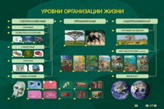 Электрифицированный стенд "Уровни организации жизни" - fgospostavki.ru - Новоалтайск