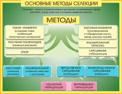 Стенд "Методы селекции и биотехнологии" - fgospostavki.ru - Новоалтайск