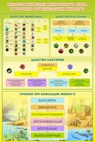 Стенд "Классификация животного мира" - fgospostavki.ru - Новоалтайск