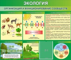 Стенд "Экология. Организация и функционирование сообществ" - fgospostavki.ru - Новоалтайск
