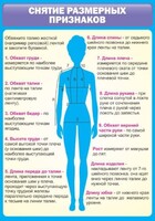 Стенд "Снятие мерок" Вариант 2 - fgospostavki.ru - Новоалтайск
