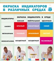 Стенд "Окраска индикаторов в различных средах" - fgospostavki.ru - Новоалтайск