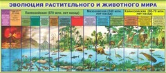 Стенд "Эволюция растительного и животного мира" - fgospostavki.ru - Новоалтайск