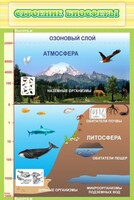 Стенд "Строение биосферы" - fgospostavki.ru - Новоалтайск