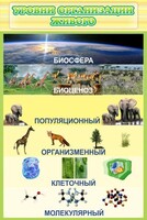 Стенд "Уровни организации живого" - fgospostavki.ru - Новоалтайск