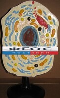 Модель "Клетка животного" - fgospostavki.ru - Новоалтайск