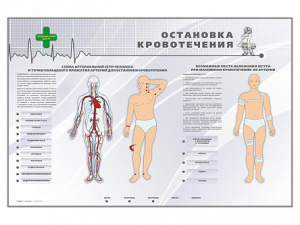 Электрифицированный стенд "Остановка кровотечения" - fgospostavki.ru - Новоалтайск