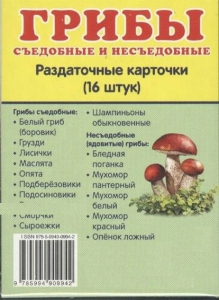 Раздаточные карточки "Грибы съедобные и не съедобные" - fgospostavki.ru - Новоалтайск