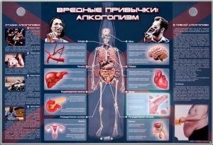 Электрифицированный стенд "Вредные привычки: алкоголизм" - fgospostavki.ru - Новоалтайск