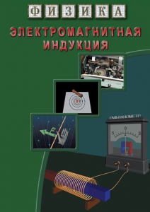 DVD "Физика. Электромагнитная индукция" - fgospostavki.ru - Новоалтайск