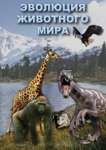 DVD "Эволюция животного мира" - fgospostavki.ru - Новоалтайск